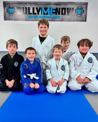 Image result for Bully Me Now Mixed Martial Arts