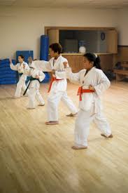 Image result for Chichester Tae Kwon Do