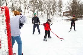 Image result for Indoor Hockey (Casual Use)