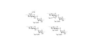 Attēlu rezultāti vaicājumam “Enteromorpha sp.”