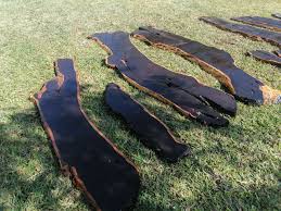 Image result for Blackwood