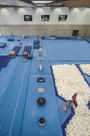 Image result for Flyin Scots Aerobic Gymnastics Club