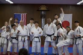 Image result for Northern Freestyle Karate Association