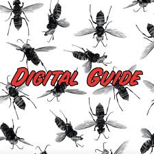 Attēlu rezultāti vaicājumam “Hymenoptera”