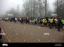 Image result for Burnham Joggers