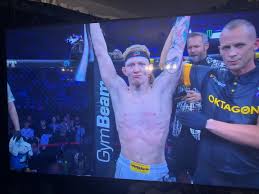 Image result for Junsui Shotokan Karate Do