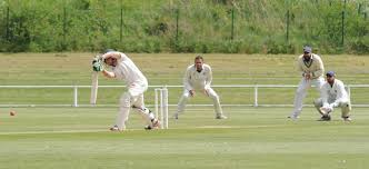 Image result for Hainault & Clayhall Cricket Club
