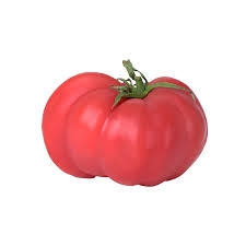Afbeeldingsresultaat voor Pink Brandywine tomato