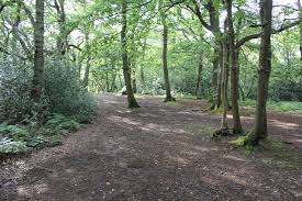 Image result for Coulsdon & Purley Jnr Badminton Club