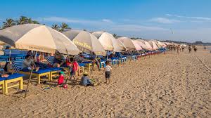 Image result for goa beaches
