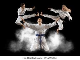 Image result for Masters of Martial Arts