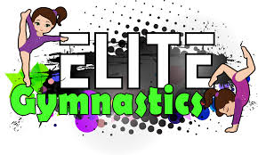Image result for Elite Recreational Gymnastics Club
