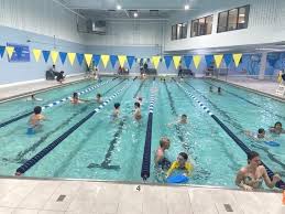 Image result for Dolphins Sheltered & Disabled Swim Club