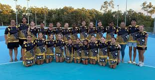 Image result for Erewash pixies netball club