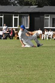 Image result for Nazeing Common Cricket Club