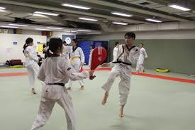 Image result for Swansea Taekwondo Club