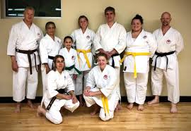 Image result for Northern Freestyle Karate Association