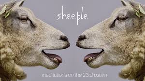 Image result for sheeple