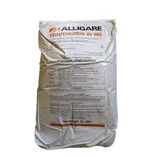 Image result for agrobellon tehron