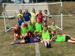 Image result for Plaskynaston Bowling Club