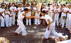 Image result for Brazilian-martial arts