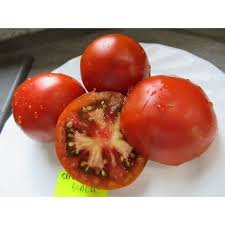 Afbeeldingsresultaat voor black elephant tomato