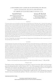 Attēlu rezultāti vaicājumam “Liceaceae”