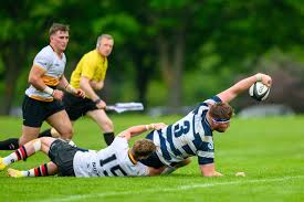 Image result for Stirling Wolves