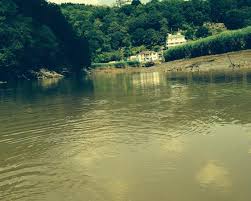 Image result for Tamar Canoe Association