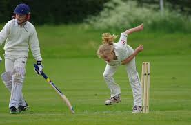 Image result for Henfield Cricket Club