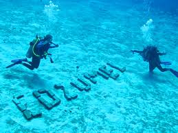 Image result for Scuba Fun