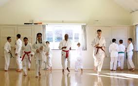 Image result for Harpenden JKA Karate Club