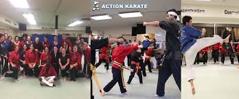 Image result for Action Karate
