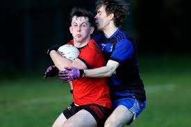 Image result for Rostrevor Hurling Club