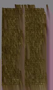 Attēlu rezultāti vaicājumam “Diderma ochraceum spores”