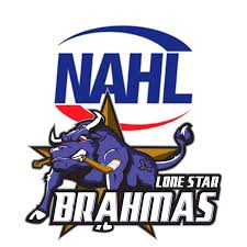 Image result for Bramhall Hockey Club