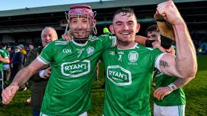 Image result for Shamrocks Hurling & Football Club