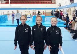 Image result for Park Wrekin Gymnastics Club