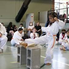 Image result for Arlington Martial Arts Academy