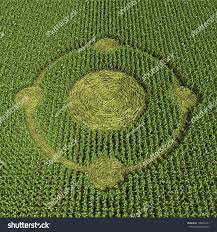 Image result for crop circle