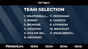 Image result for Horsley & Send Cricket Club