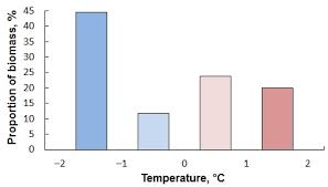 Image result for Arctogadus glacialis