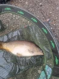 Image result for Hull & District Anglers' Association