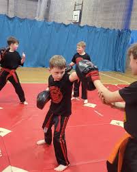 Image result for Vipers Thai/Kickboxing School