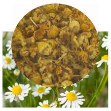 Image result for Matricaria recutita (chamomilla)