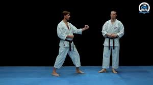 Image result for Zen Shin Seicho Do Adult Karate