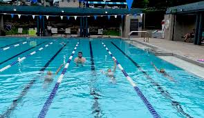Image result for Loftus Dolphins Swimming Club