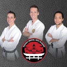 Image result for Bushido Academy Of Martial Arts (Bama)