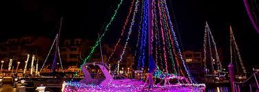 Image result for Harbour Lights Snorkelling Club (HLSC)