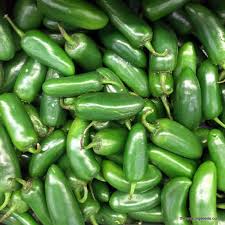 Afbeeldingsresultaat voor jalapeno early hot pepper